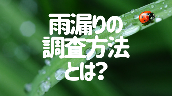 雨漏りの調査方法