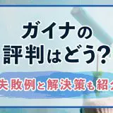 ガイナ評判