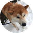 行秋(行秋) 行秋(行秋)