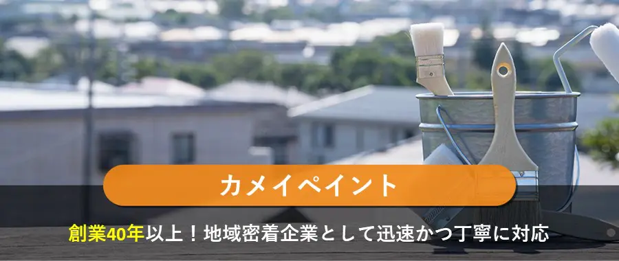 カメイペイント