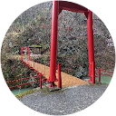 森もり 森もり