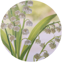 ウォーカー祐子