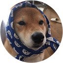 tomo taro tomo taro