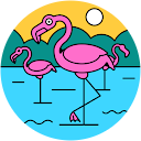 やまだゆうすけ