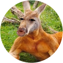 丸出しとっぽぎ