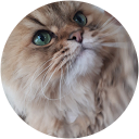 channel heal my mind