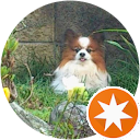 クッキーパピヨン