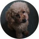 ゆみこ“ゆーみん”