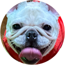 プリティーとめ子