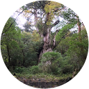 まさとし まさとし