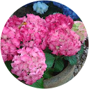 そうてん そうてん