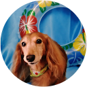 けんた“kenta”けんた