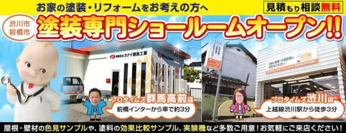 プロタイムズ渋川店 有限会社 カナイ建装工業