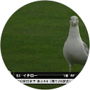 鳩山イチロー