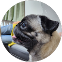 ふじくらあきこ