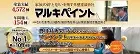 マルキペイント_導入部ランキング