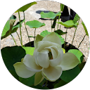 天王町きみちゃん