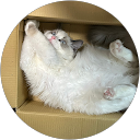 美佳（ジェラちゃんのママ）