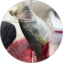 服部謙治 服部謙治