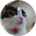 赤ずきんねこ 赤ずきんねこ